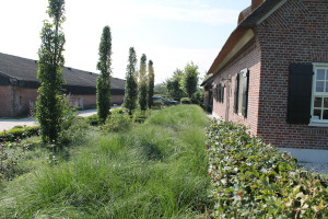 Tuinprojecten